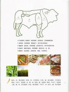 科尔沁牛业 批发价格 厂家 图片 食品招商网